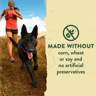 Zukes Adventure Sticks are made without corn, wheat or soy and no artificial preservatives