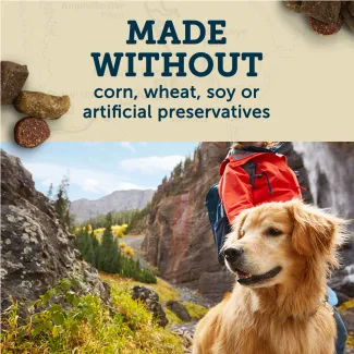 Golden retriever hiking with text, made without corn, wheat, soy, or artificial preservatives.